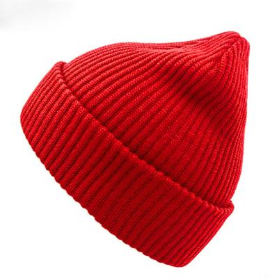 China Cheap Price Winter Beanie With Custom Logo Embroidery Wholesale COMMON for sale