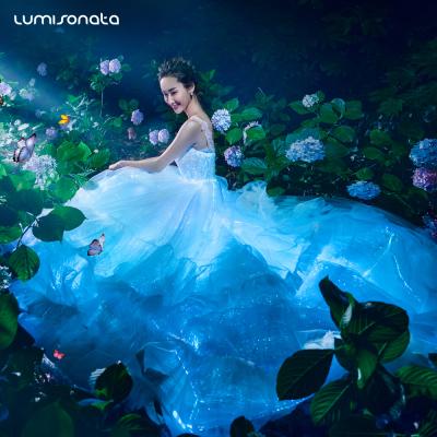 China 2019 viable new design luminous dress led ball gown led luminous prom dress for sale