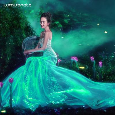 China Sustainable Warm Luminous Fiber Optic Glow In Dark Formal Led Wedding Dress for sale