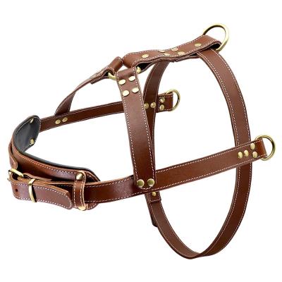 China Berry New Arrival Strong Durable Genuine Leather Dog Harness For Dog Training for sale