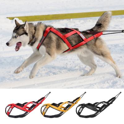 China Amazon's Best Seller Sustainable Reflective Nylon Dog Harness for Training and Skiing for sale