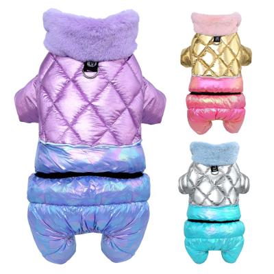 China Berry New Arrival Easy On Sustainable And Warmly Reflective Waterproof Pet Clothes for sale