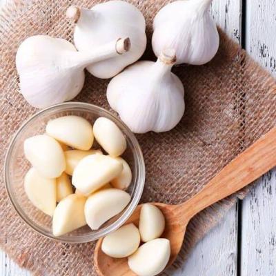 China Garlic Good Quality Fresh Peeled Fresh Peeled Garlic New for sale