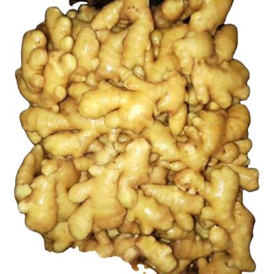 China High Quality Fresh Ginger Fresh Market Price Per Ton Wholesale Buyers Ginger For China Ginger Export for sale