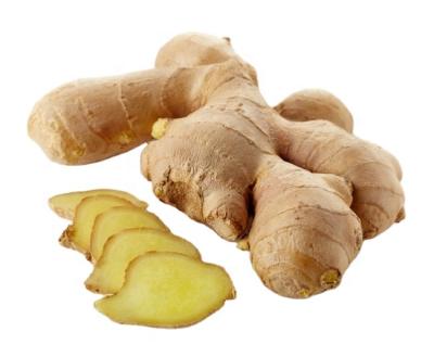 China China Fresh Fresh Vegetables Washed Ginger Fresh Ginger for sale