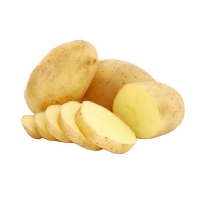 China Fresh fresh potato export overseas to produce potato chips for sale