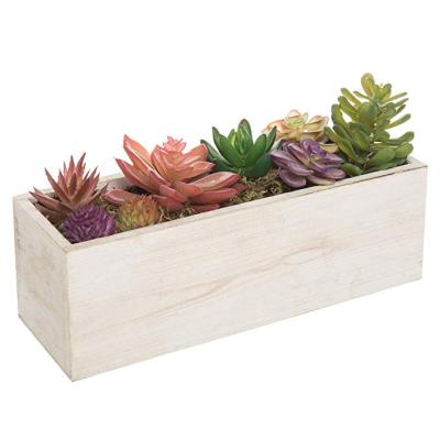 China Handmade wholesale home wooden frame flower pot desktop fleshy juicy indoor flower pot for sale