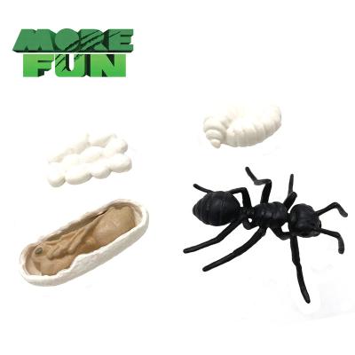 China Morefun PVC Durable Solid Model Simulation Insect Ant Life Cycle Toys Plastic Animal Toys Educational Teaching Tools for sale