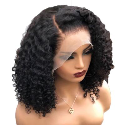 China Other Hd Hot Selling Virgin Human Hair Full Lace Wig Raw Indian Curly Curly Natural Hair Transparent Lace Front Wig for sale