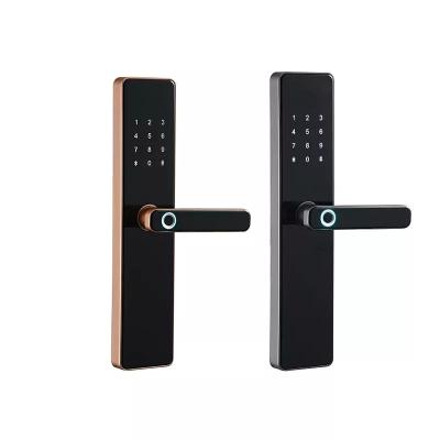 China High Quality Smart Card Smart Key Pass Code Apartment Remote Control Smart Door Lock Handle S819 TTlock Tuya For Apartment for sale