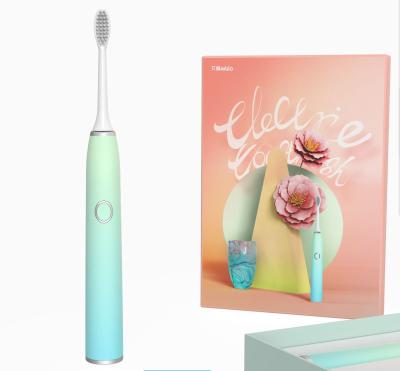 China Sustainable Adult Automatic Soft Hair Waterproof Electric Toothbrush for sale