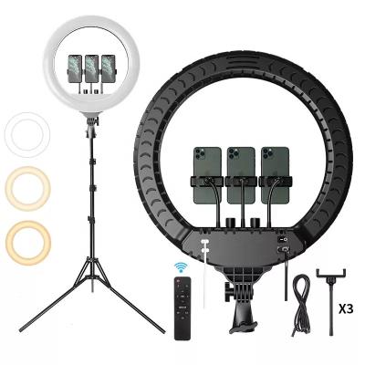 China 36cm RL 14 Inch PORTABLE Selfie Led Ring Light 3 Clips Phone With Wireless Remote Videos Live Streaming Fill Light For Tiktok for sale