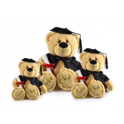 China osos de peluche Soft PP plush animal souvenirs stuffed gifts graduation teddy bear for students 2020 for sale