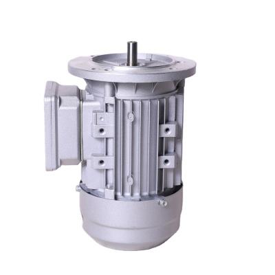 China Please inquire for details Durable Insulation Y2 Series Three Phase Asynchronous AC Motor for sale