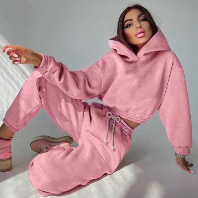 China Warm cropped hoodie and winter QUICK DRY quality pants set women two piece set tracksuit for sale