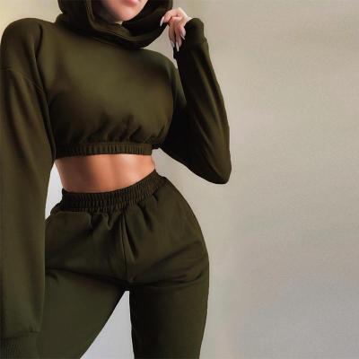 China Viable Women Sport Clothing Yoga Suit Workout Sets For Activewear Sets Two Piece Fashion Hooded Sweater Suit for sale