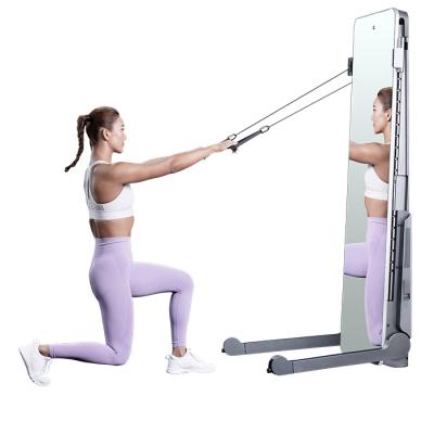 China Home Use SPlan Best Selling High Quality Fitness Bodybuilding Gym Equipment Strength Training for sale