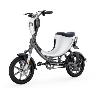 China 2021 Chinese hot sale folding METAL factory bicycles electric e-bike DYU for sale