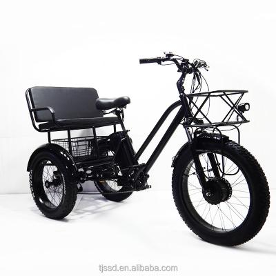 China Electric Adult Tricycle Fatbike Cargo Steel Wheel Brake Motor Power Bicycle China Ebike Max Motorcycle Custom Magnet Body for sale