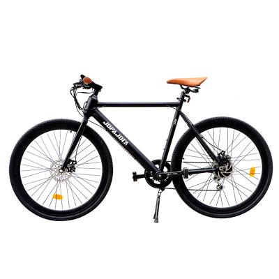 China High Quality MTB 250w 500w 1000W 36v 48v 60v Ebike Adult Retro Ebike Off Road Electric Mountain Bike for sale