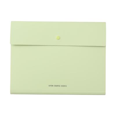 China Eco - Friendly Custom Colored PP Expanding Brief Bag With Handle for sale