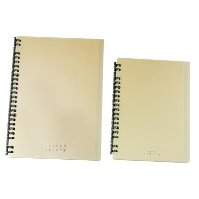 China Custom Bulk Cheap Personalized Printing Spiral Notebook Hot Selling Eco-Friendly Diary Notebook Stationery for sale