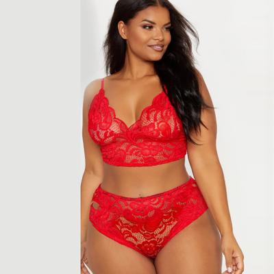 China Fashion Women's Full Figure Wire Free Plus Size Underwire Bra Xxl Red Full-Figure Bra Set Sexy Black XL Xxl Xxxl Xxxxl Size Bra Set for sale