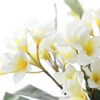 China Real natural touch frangipani flowers artificial made in china for home decoration for sale