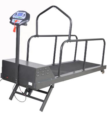 China Pet Treadmill Retail - Incline Dog Treadmill, Animal Treadmill for sale