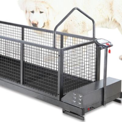 China Viable Hot Selling Dog Training Treadmill Pets Treadmill CE for sale