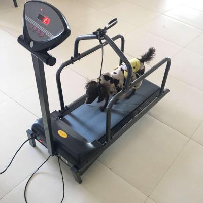 China Sustainable Wholesale Dog Treadmill for sale