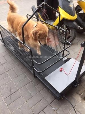 China Hot Selling Sustainable Small Dog Treadmill CE Automatic Walking Machine for sale