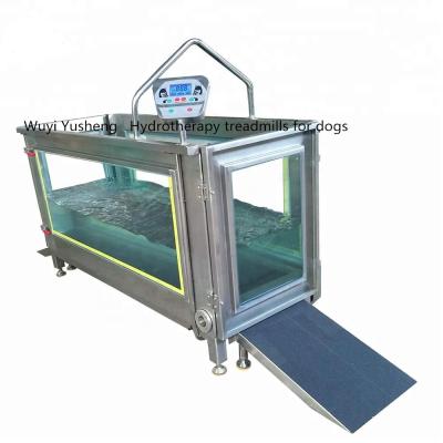 China Sustainable SUS304 Underwater Treadmill For Dogs OEM for sale