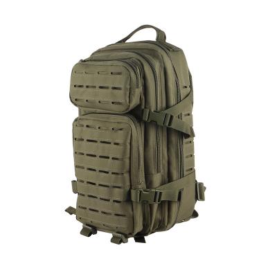 China Waterproof 1000D Oxford Army Molle Backpack Camouflage Travel Laptop Bag Camping Hiking Military School Rucksack for sale