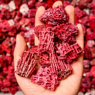 China China Wholesale Cora Red Rough Quartz Crystals Natural Chunky Fossil Healing Tumbled Stones for sale