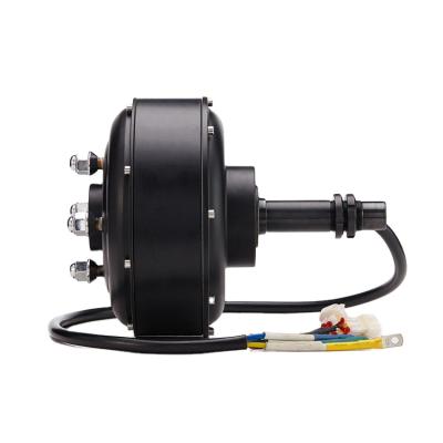 China 10Inch 1000w Waterproof DC Motor Single Shaft Hub Motor For Electric Car for sale