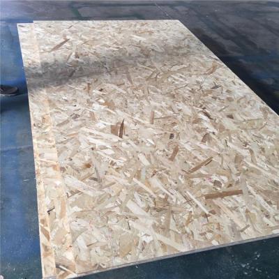 China Modern hot sale 10mm/12mm/15mm/18mm modern cheap osb /osb manufacturer /cheap particle board for sale