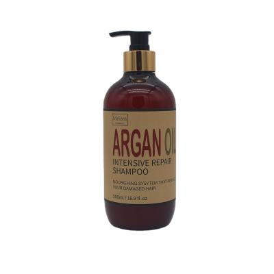 China Special Color-Protection Hot Sale Customized Nourishing Repairing Argan Oil Shampoo for sale