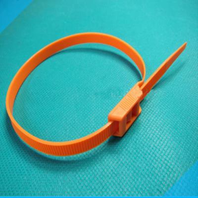 China 2022 Normal And 66 Nylon Color Double Lock Nylon High Quality Plastic Cable Ties for sale