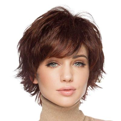 China Assets; Wholesale Reusable Natural Brown Fluffy Soft Cap Synthetic Short Wigs for sale