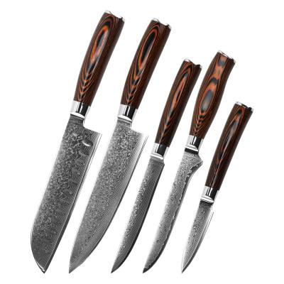 China Wholesale Viable Universal Chef Knife Sharp 5pcs Damascus Steel Paring Knife Kitchen Damascus Steak Set for sale