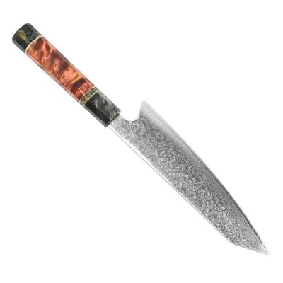 China Viable High Quality Professional Chef Knife Vg Damascus 10 67 Layers Damascus Steel Knife for sale