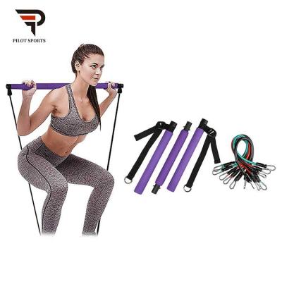 China Hot Selling Iron+foam home fitness equipment yoga pilates bar kit for sale