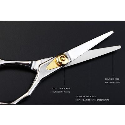 China Professional Barber Scissors Straight Hair Cutting Salon Scissors for Hair Cutting Hair Scissors for sale