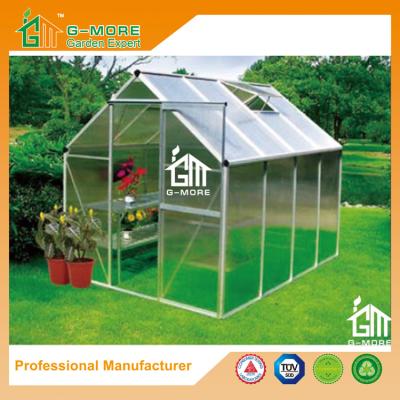 China 8'x6'x6.7'FT Silver Color Best Price Popular Series Garden Greenhouse for sale