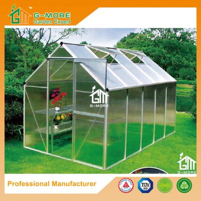 China 10'x6'x6.7'FT Silver Color Best Price Popular Series Garden Greenhouse for sale