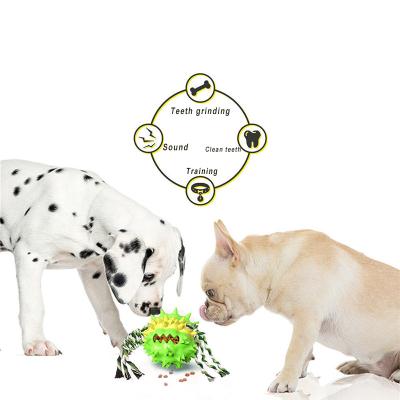 China SPT Amazon Sustainable Dog Toy Healthy Interactive Dog Squeaky Toy for sale