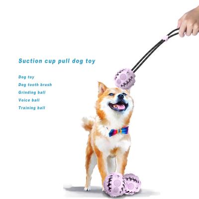 China SPT SPT tpr Viable Pet Toy Interactive Training Dog Toy for Playing and Tooth Cleaning for sale