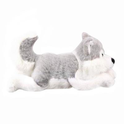 China New Plush Factory Supply Husky Toys Lying On Labrador Dog Sleeping On Bed Pillow Girls for sale