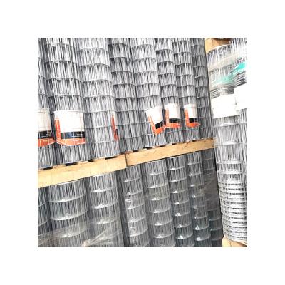 China Good Quality Dutch Weave Electro Galvanized Welded Iron Wire Mesh for sale